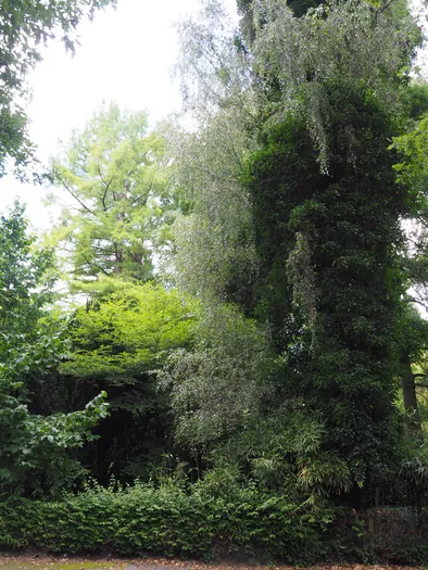 Fietsen en wandelen door het water van de Wijers, Bokrijk (België)